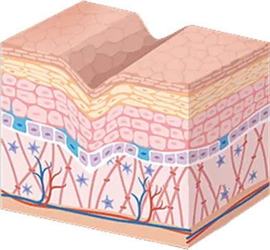 CAVIARGAN  Bonus Spanish rapid detox protocol